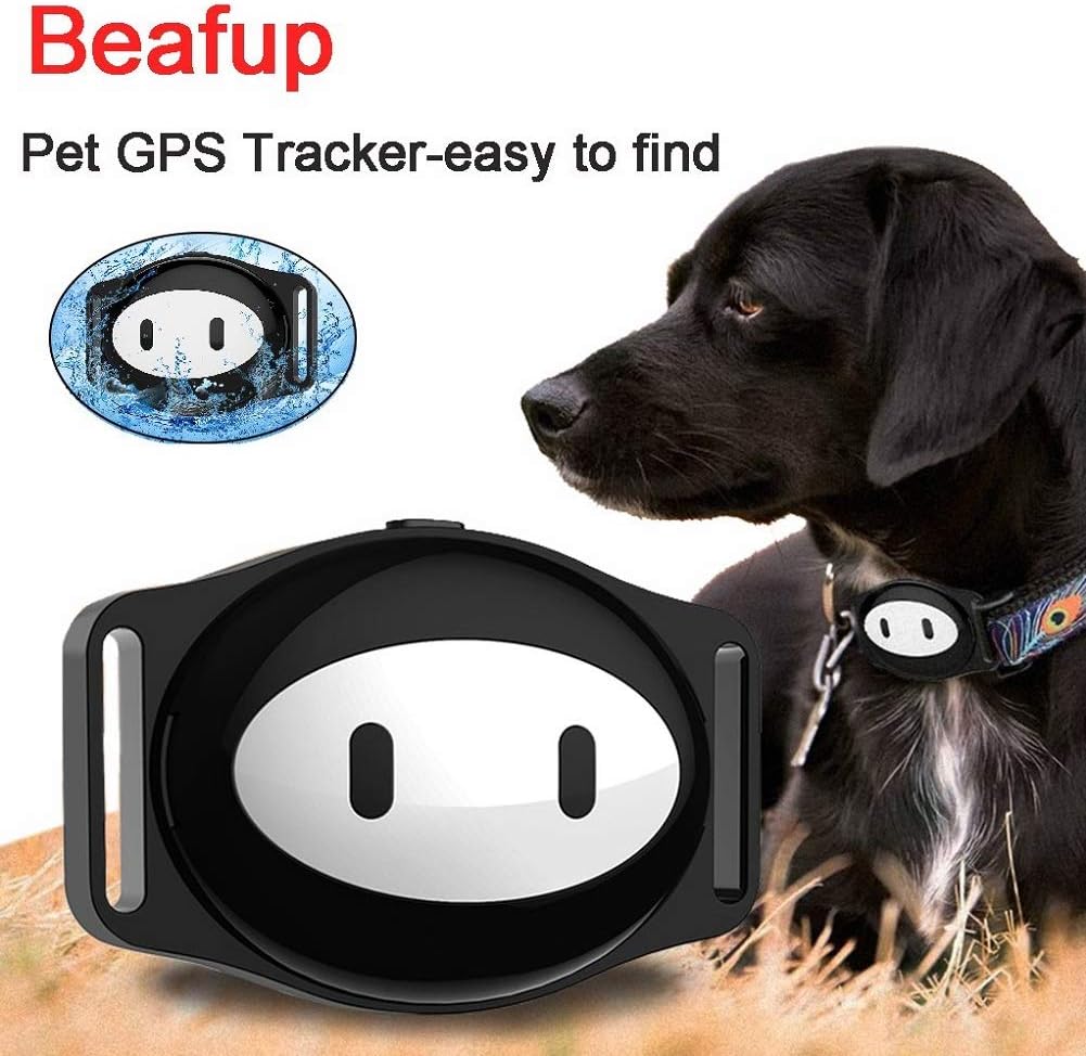 gps pet tracker d79