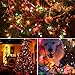 Twowings aws awedw M5 Battery Operated String Lights 100 LED Clear Mini Fairy Christmas L, Multi Color