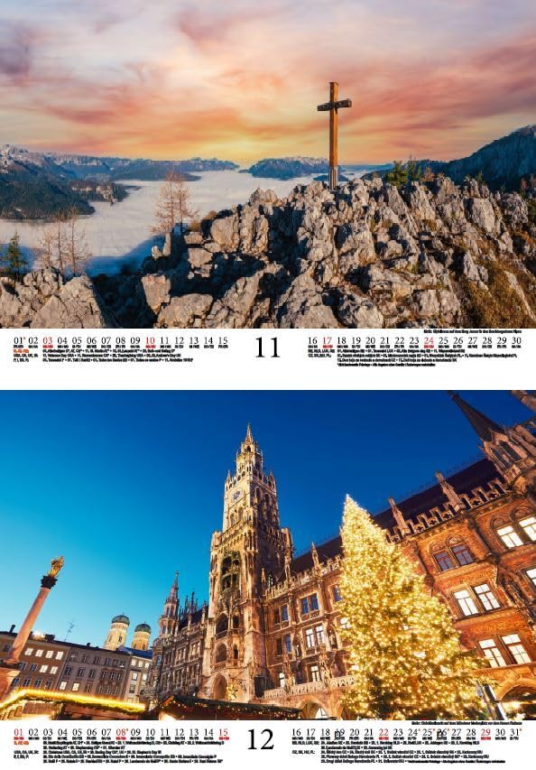 View 7