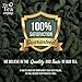 Organic Gunpowder Green Tea Loose Leaf by The Tea Company 4oz