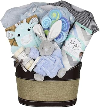 amazon new baby gift basket