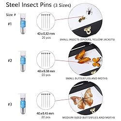 IHEIPYE Insect Display Case Wall Mount Bug Display