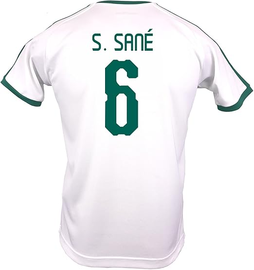 puma senegal jersey