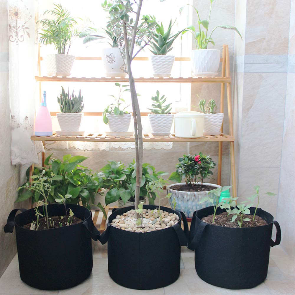 5 Gallon Grow Bags