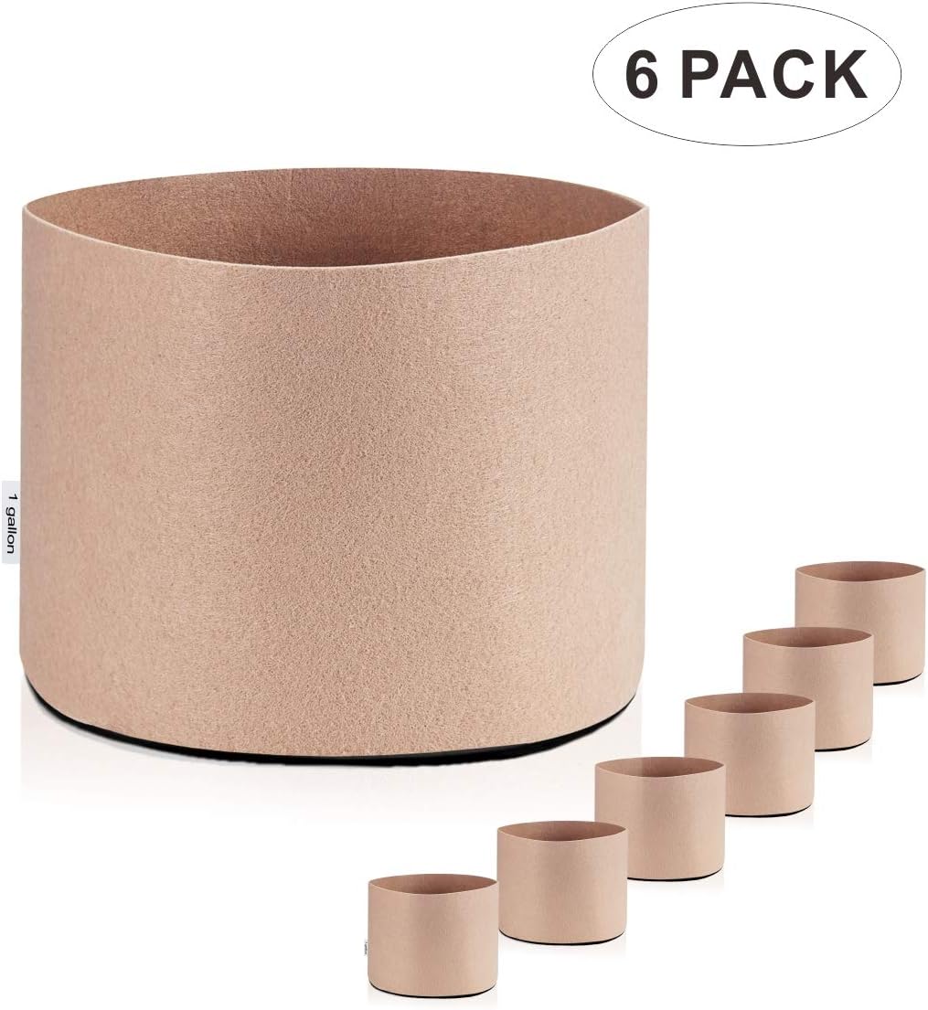 CDMALL 1 2 3 5 7 10 15 20 25 30 45 65 100 Gallon Round Fabric Fabric Aeration Pots Container for Nursery Garden and Planting Grow (1 Gallon (6 PCS))