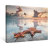 SUMGAR Photography Print on Canvas Starfish on Beach Wall Decorations for Bedroom (16x12)