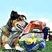Pet Magasin Dog Toys - Multi-Texture and Adorably Cute (2-Pack)
