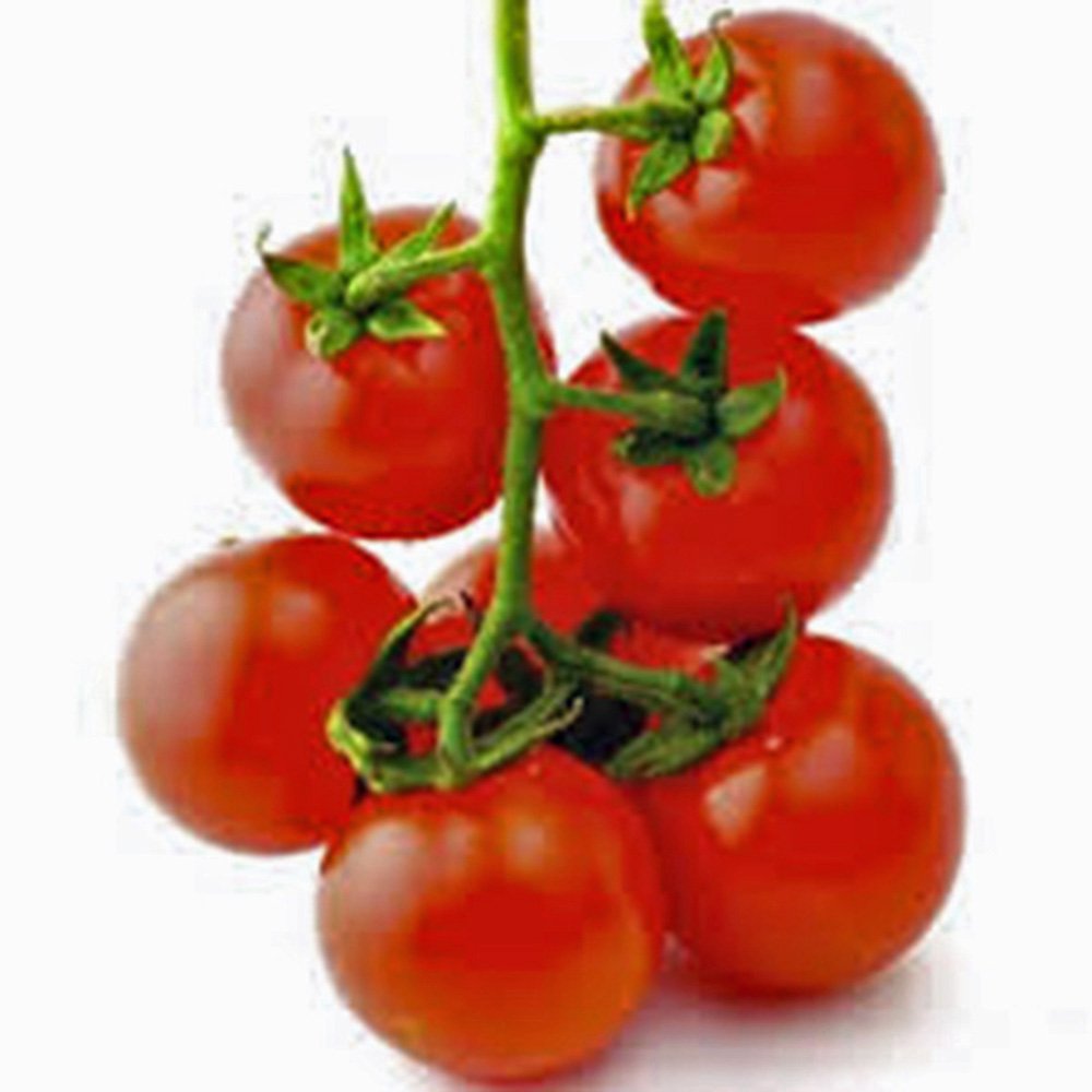 Sow No GMO Tomato Large Red Cherry Non GMO Heirloom Sweet Juicy Salad Vegetable 25 Seeds
