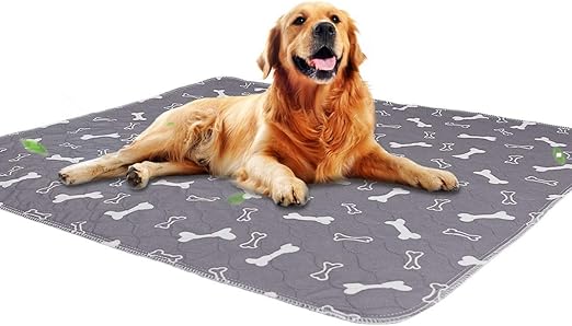 canine lymphoma diet