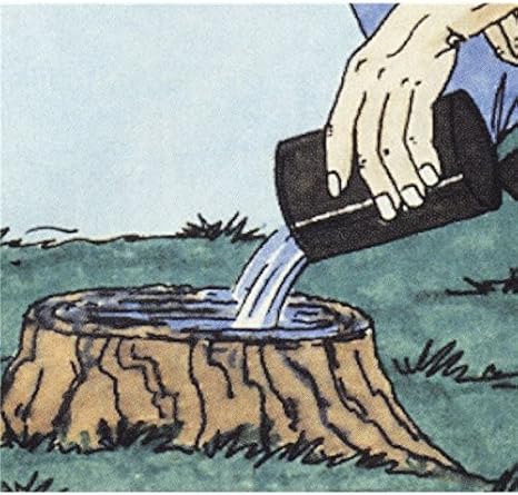 Amazon スタンプ アウト2個組 切り株処理剤 スコップ シャベル