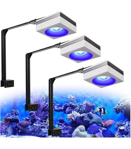 Led Lighting for Coral Display Tanks: Enhance Vibrancy & Growth