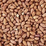 Garden Ting Premium Peanut Kernels Wild Bird Food 3 Litre Tub view 6