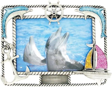 dolphins gear amazon