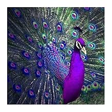 Amazon.ca: diamond dotz