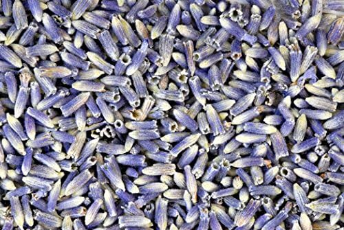 Dried Lavender Flower Buds - 1 Pound