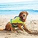 Outward Hound Standley Sport Dog Life Jacket, High-Performance Ripstop Dog Life Vest for Swimming, Boating, and Water Safety, Large, Green