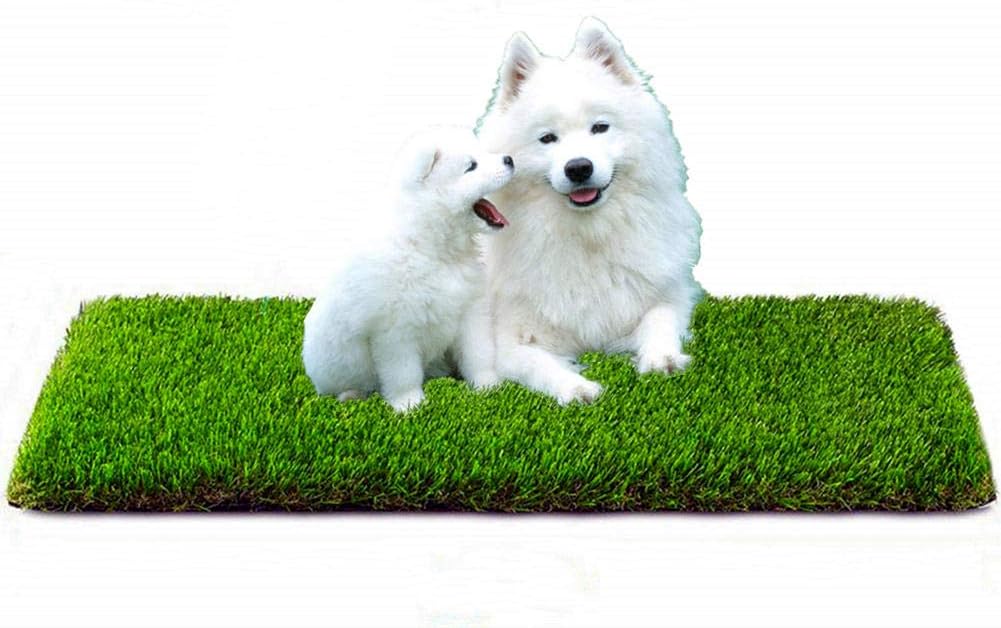 indoor turf dog potty pro