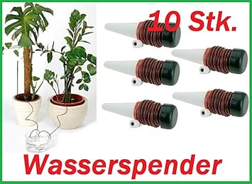 Pflanzen im urlaub bewässern | 10 Tipps wie Sie Pflanzen ...