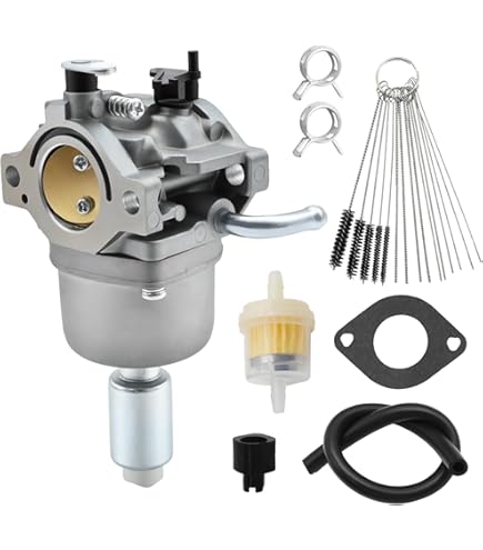 Amazon.com : FIXED UP FINDS for Carburetor for Ruixing Model