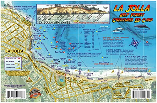 La Jolla Shores Map & Kelp Forest Creatures Guide Franko Maps Laminated