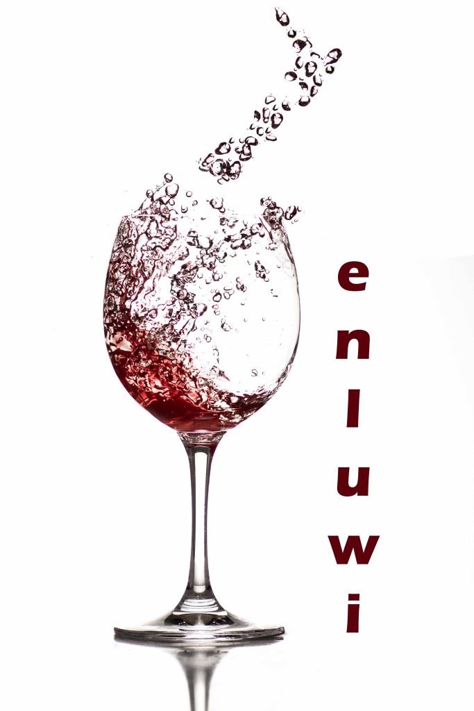 Compra enluwi 2 Exclusivos enfriadores de Bebidas, Manguitos de ...