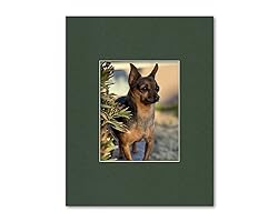 14x18 Matting for 8x10 Photograph or Artwork 4-Ply