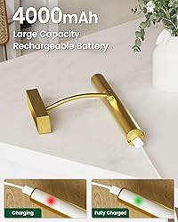 Bridika Picture Lights for Wall Battery Operated