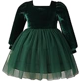 FYMNSI Toddler Baby Girls Vintage Velvet Layered Tulle Tutu Dress Infant Christmas Wedding Evening Gown Holiday Outfit