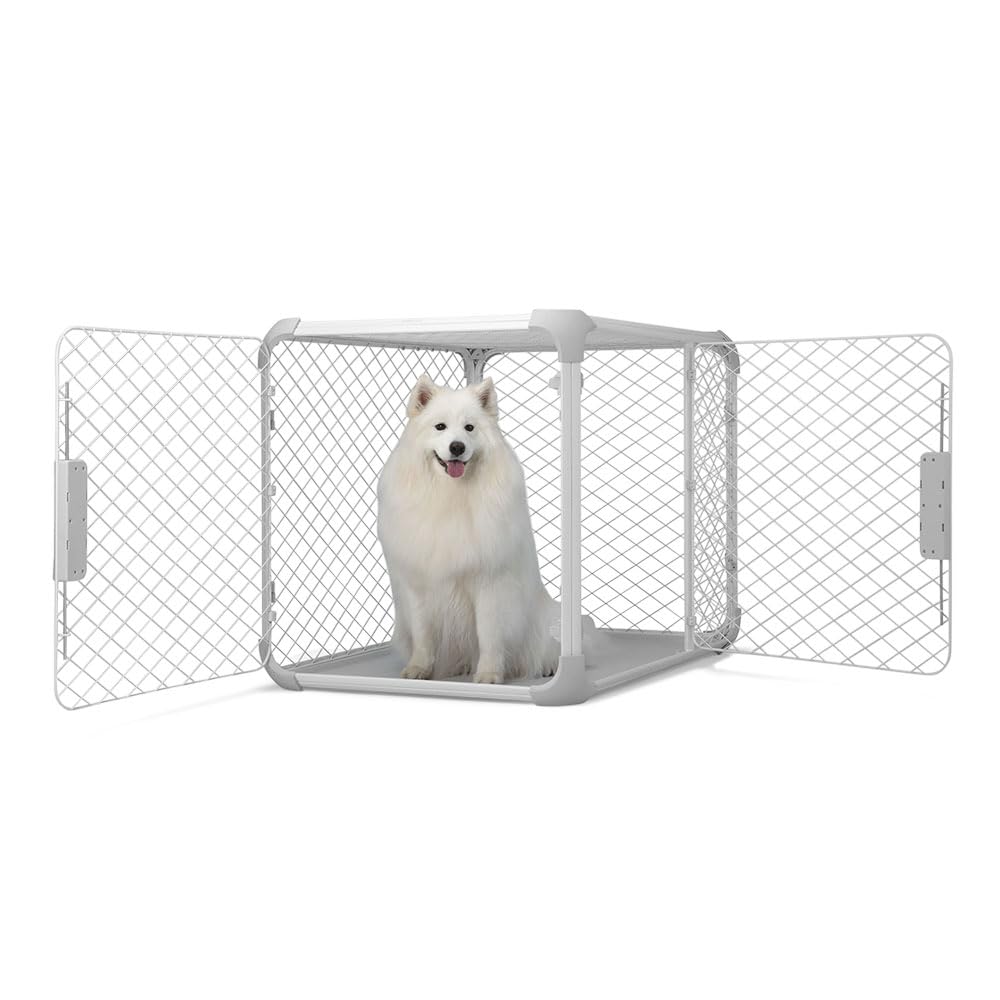 Photo 1 of DIGGS Evolv Dog Crate - Slim, Durable Dog Kennel with Removable Ceiling Panel and Modular Design - Safe, Stylish, Convenient (Ash, Large)