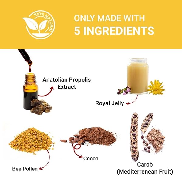 BEE AND YOU ROYAL JELLY + PROPOLIS + BEE POLLEN CHEWABLE TABLETS – HIGH POTENCY – NO ARTIFICIAL FLAVOR/PRESERVATIVES – NO ADDED SUGAR- NO SOY/MILK/GELATIN/GMO/GLUTEN, 500 MG X 60 TABLETS