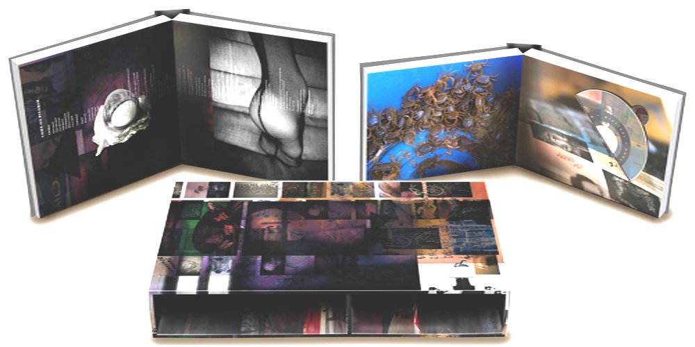 ピクシーズ（Pixies）『Minotaur』