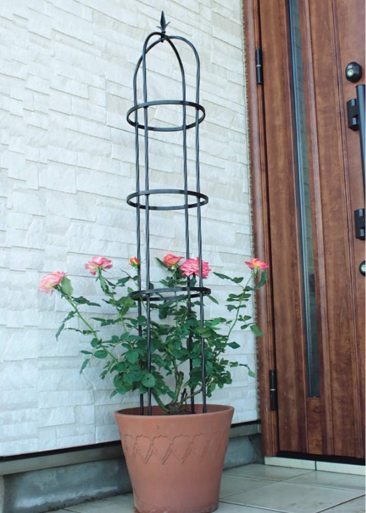 ZHANGZHIYUA Go 3 Packs Garden Obelisk Metal Trellis Flower Support ...