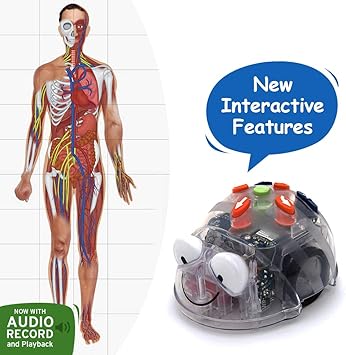 robot like human body