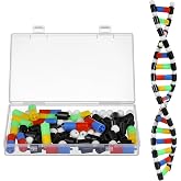 iplusmile DNA Model Kit Double Helix Structure, 3D Science Teaching Instrument for Biology Class, Genetics Learning Educational Toy for Students Kids Assembly Display