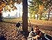 Wise Owl Outfitters Camping Hammocks - Portable Hammock for Outdoor, Indoor, Single Use w/ Tree Straps - Backpacking, Travel, and Camping Accessories, Navy & Forrest