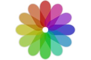 A+ Gallery Photos & Videos
