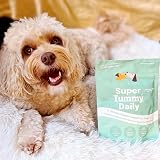 Buddy & Lola Super Pooper Bundle 100% Natural Pumpkin Powder Probiotics view 8