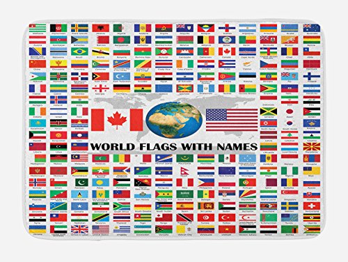 Ambesonne Flags Bath Mat, Big Collection of World Flags with Names Different Countries Nationalities Patriotic, Plush Bathroom Decor Mat with Non Slip Backing, 29.5 W X 17.5 W Inches, Multicolor