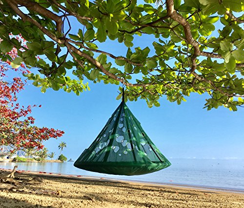 Flower House Moondrop Hanging Hammock Chair, green