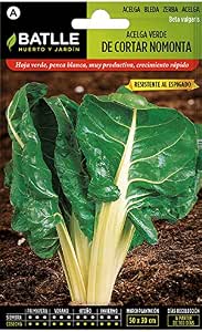 Semillas Hortícolas - Acelga verde de cortar sel. Nomonta - Batlle ...