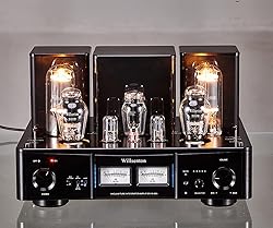 Willsenton R800i 300B 845 Tube Single-Ended Class A