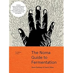 Noma Guide to Fermentation: Foundations of Flavor