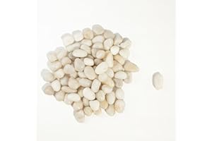 CONSDAN 6 LBS River Rocks, StoneCreek, Decorative Garden Stones for Plant Landscaping, Polished Gravel Filler Pebbles for Home Decoration, Vases, Succulents, Flower Beds and Fish Tanks (White, Medium)