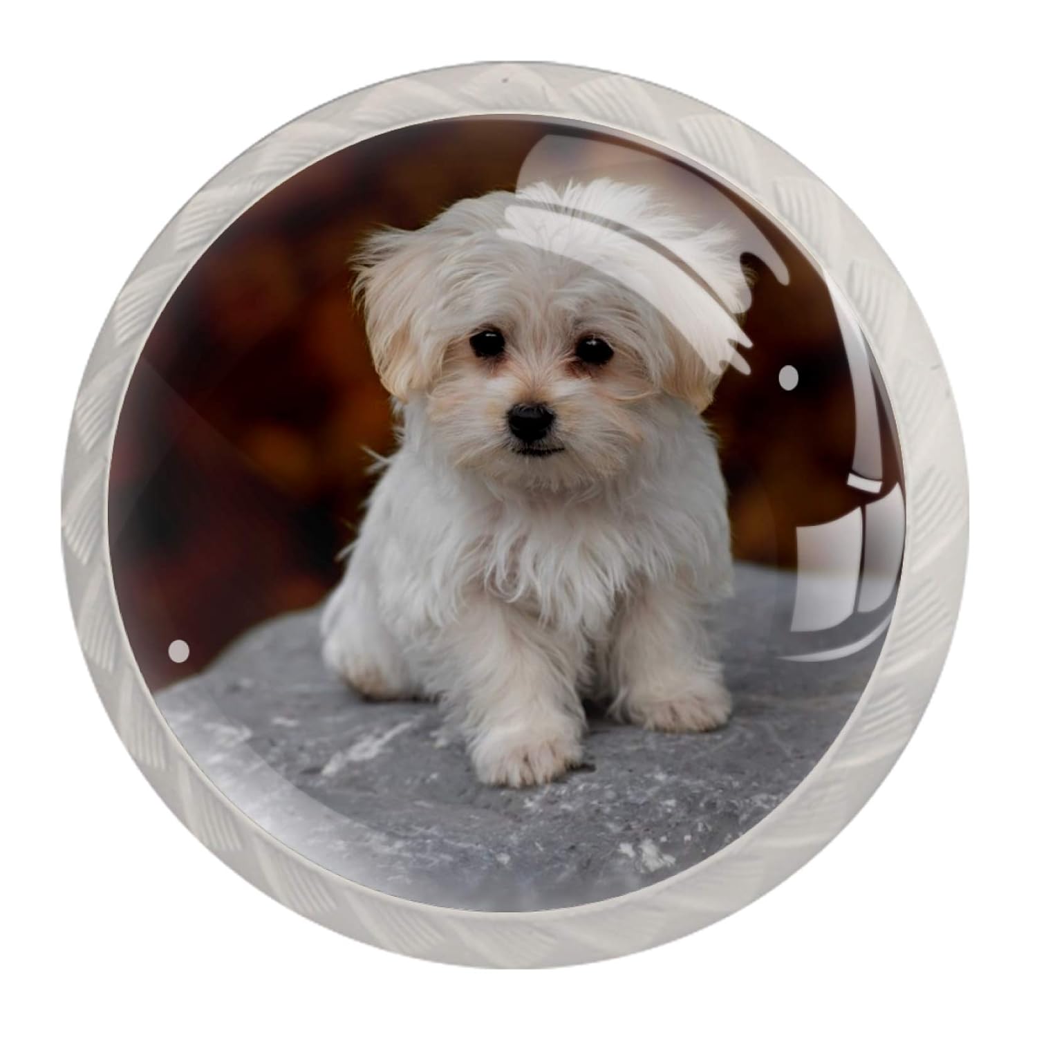 Schrankknöpfe und zieht Netter weißer Welpe Schrankknöpfe Bunte