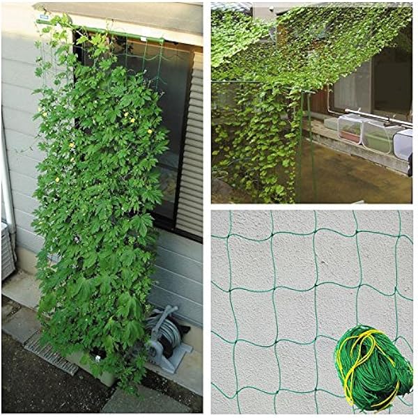 Amazon Com Colibrox Durable Nylon Trellis Net Netting Plant Support For Climbing Plants 5 9ft X 11 8ft Garden Outdoor