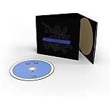 Under the Midnight Sun