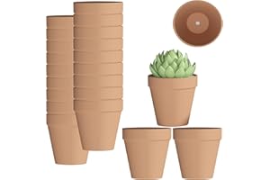 Fcacti 3 Inch Terra Cotta Pots with Drainage - 22 Pack Clay Flower Pots, Succulent/Cactus Nursery Pots,Small Terracotta Pots Great for Plants, Crafts, Wedding Favor