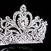 Gold Silver Crystal Heart Rhinestone Headband Crown for Cake Topper Party Wedding Princess Headpiece Tiara (Silver)