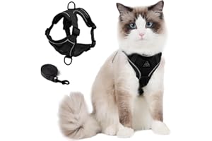 Skmeditec Cat Harness and Leash Set: Upgraded Escape Proof Vest with Lead for Large Cat Small Dog Puppy Walking, Soft Jacket 
