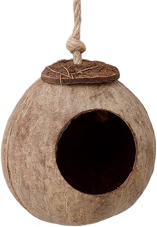 Amazon Com Az Window Bird Feeder Wild Bird Feeders Seeds Nuts